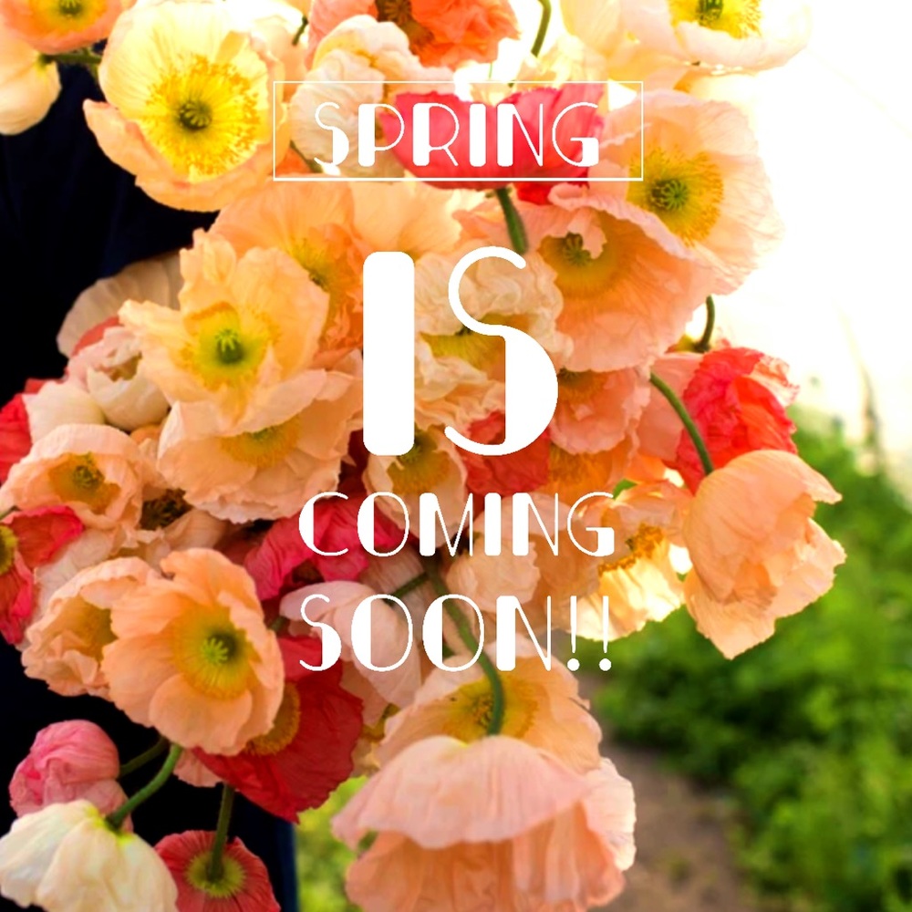 Spring is around the bend!